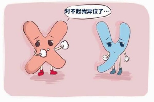 年轻女性不来月经怎么办,女人长期不来月经什么原因