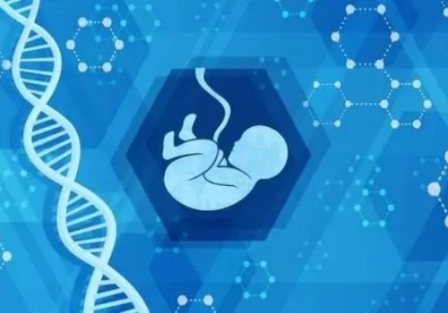 这三种方法帮助患有弓形子宫的女性成为准妈妈